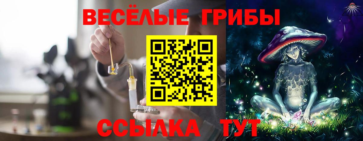 Кызыл  Галлюциногенные грибы Cubensis  Вход с VPN 